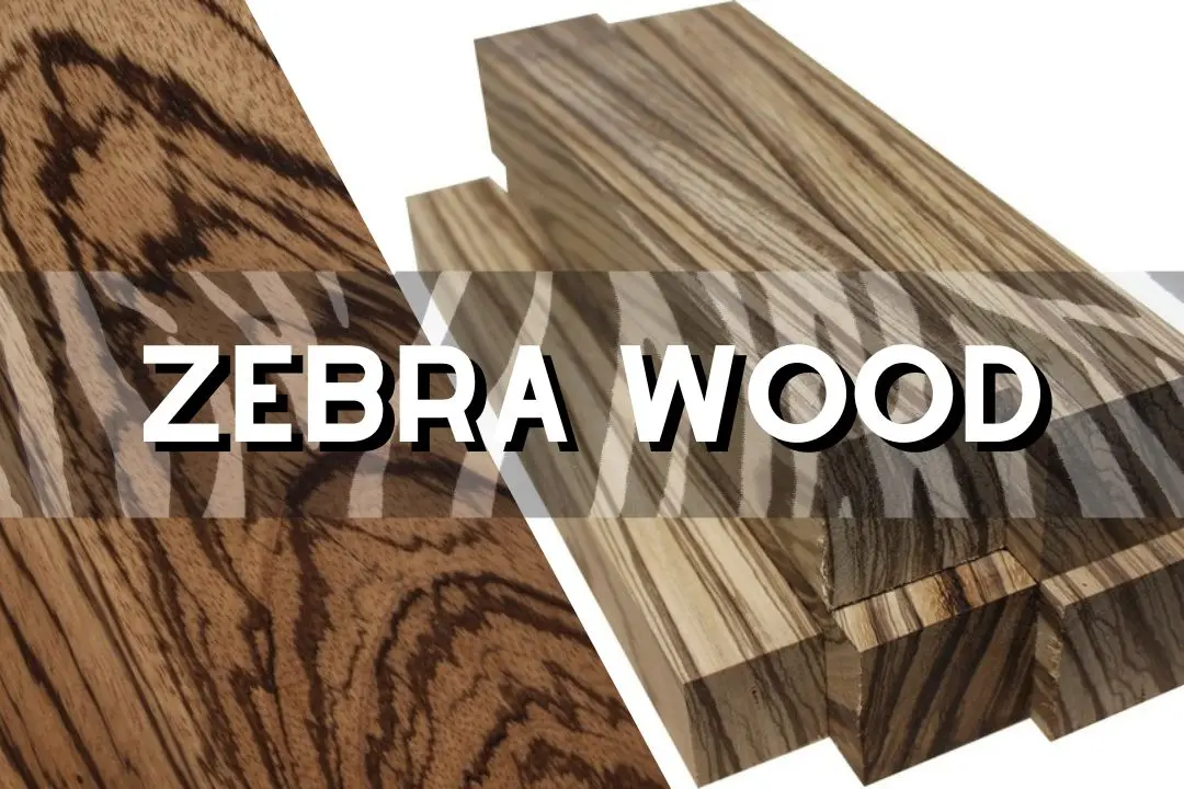 zebra-Wood