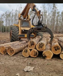 Gỗ Teak - FSC