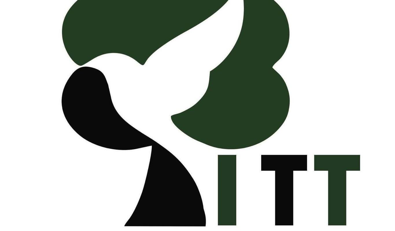 Gỗ ITT Việt Nam