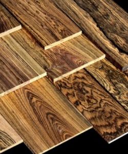 Mun Sọc Nam Mỹ Bocote – Loại gỗ quý hiếm và xa xỉ nhất