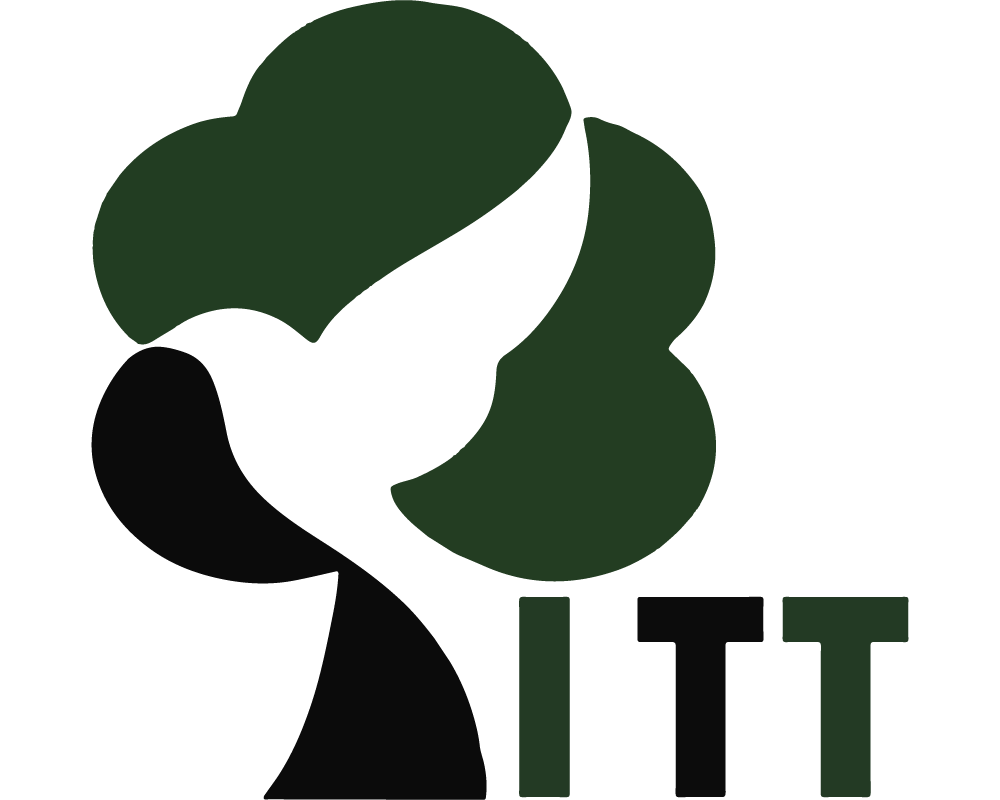 Gỗ ITT Việt Nam