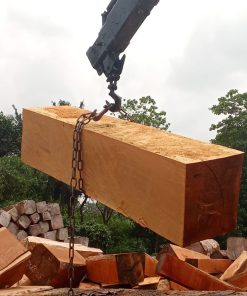 Gỗ Mít NIgeria - Bilinga