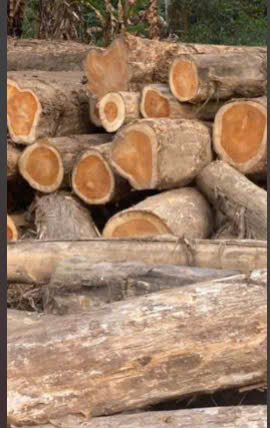 z7170931713330_cf6b07f099cf51c5d40bf3f51caea275