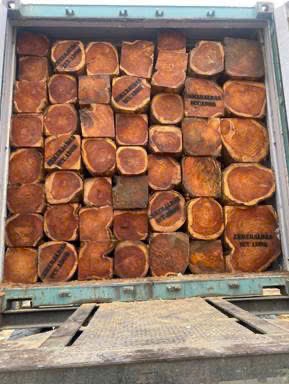 z7170931720285_61971263af6b0c5db3fff80964b3b3c3