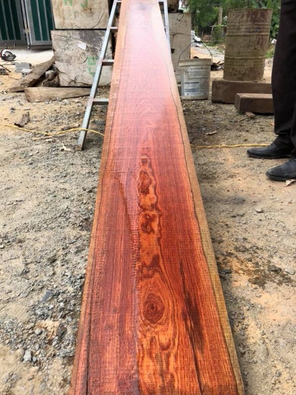 34783739_221563135313951_8406487304608153600_n