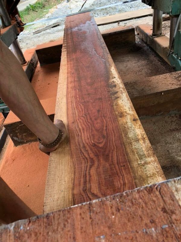 35050975_221563128647285_1918980667614429184_n