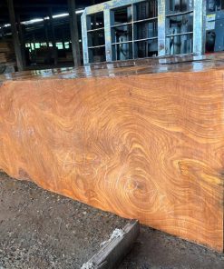 Gỗ Gõ Đỏ Pachyloba