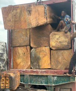 Lim Tali Nigeria 33/44 - Chất cứng