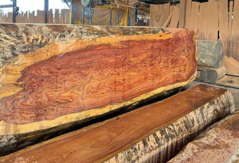 515436078_1748434969393495_6303935826394755233_n