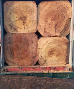Gỗ Dâu Iroko 22/33 - Nigeria