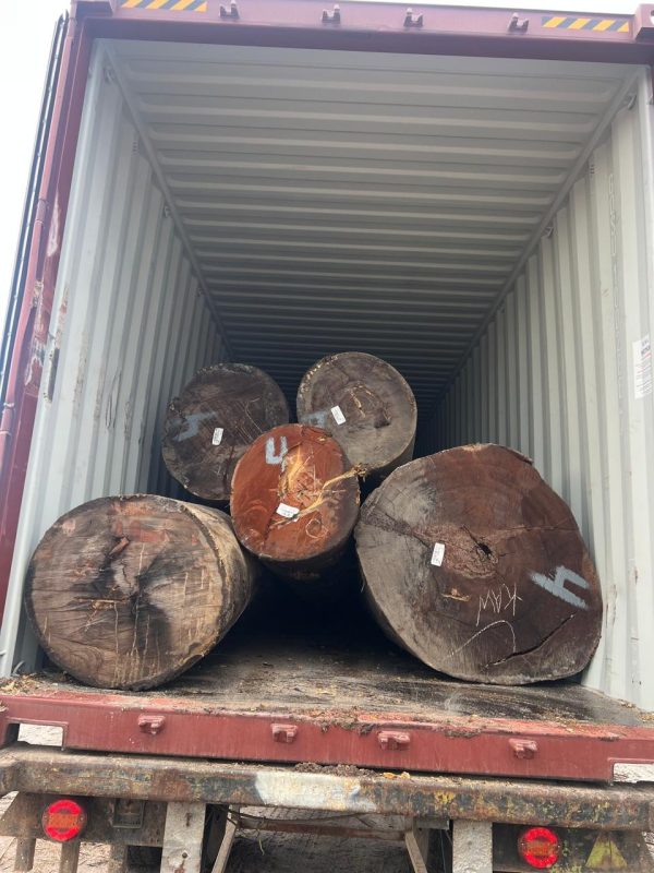 1733bfdf-e6fc-46ac-9327-598e8b9dd84f