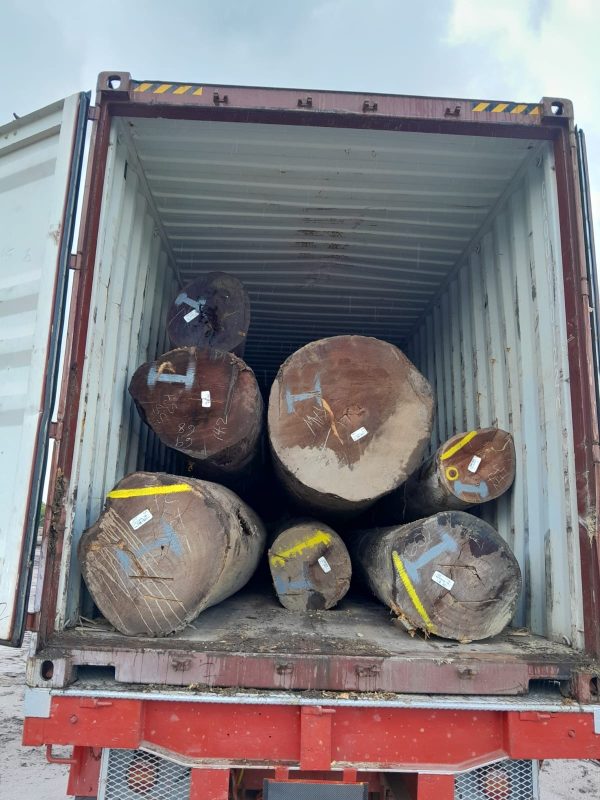 3e52cd57-2bbe-4447-82ca-4715c0970fc1