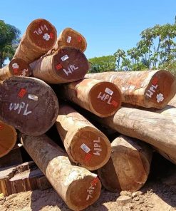 Gỗ Căm Xe Mỹ WPL - Kính 53+