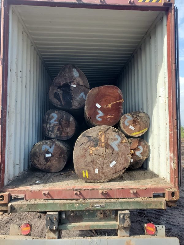 f1201a9a-2241-4041-8cbc-b7e6bd31c3f1