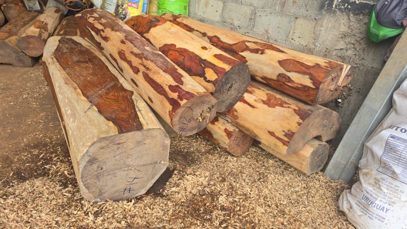 WhatsApp Image 2025-11-01 at 11.06.15 (1)