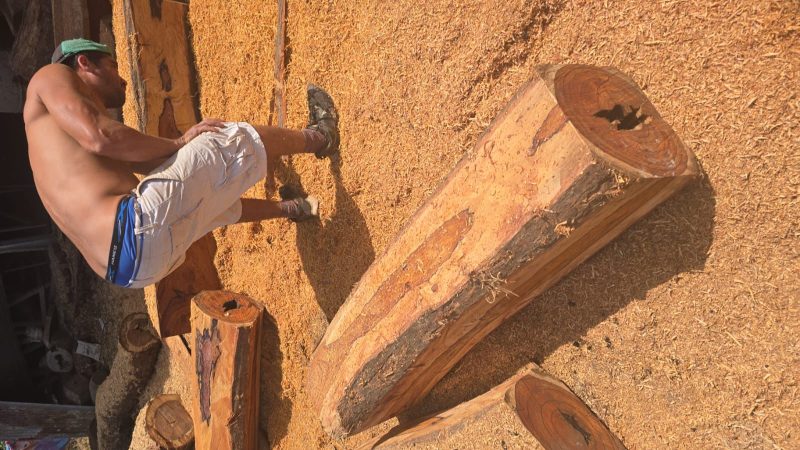 WhatsApp Image 2025-11-01 at 11.06.15 (3)