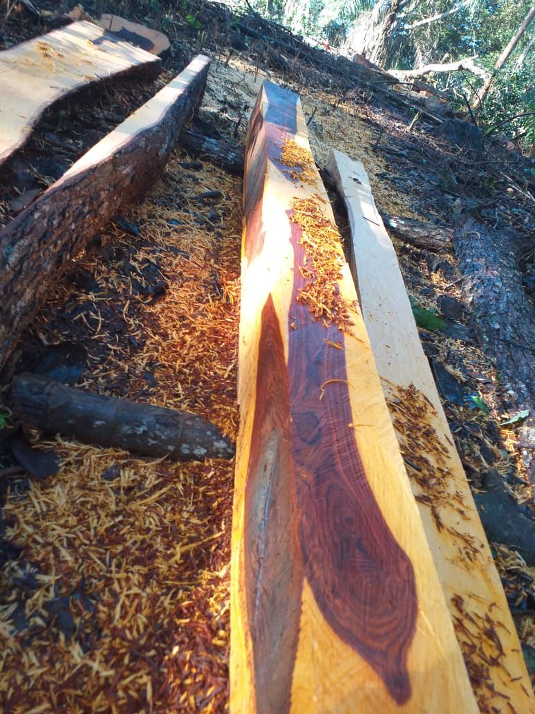 WhatsApp Image 2025-11-01 at 11.06.15