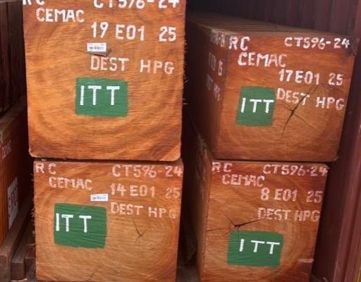 Wood Import