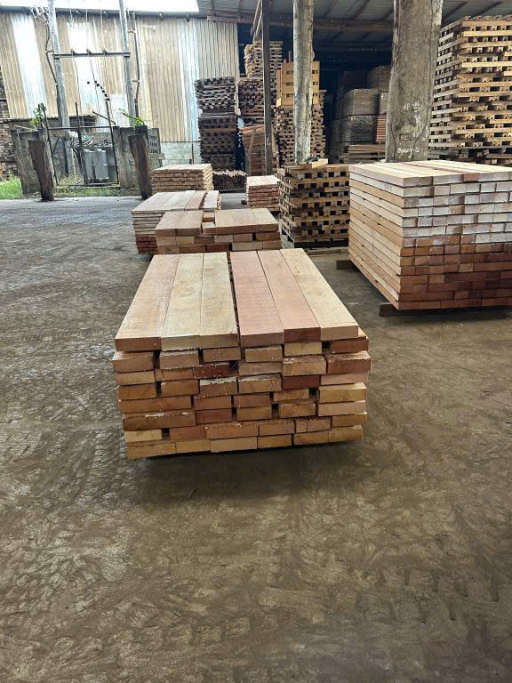 z7305144564341_21be441b33ab83961fb5e2b0698859c8