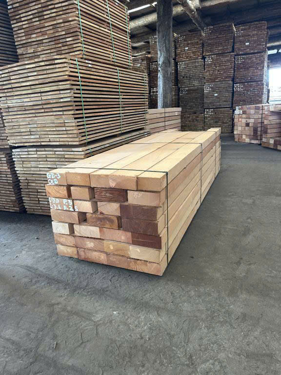 z7305144564348_92091a968c584e0ef9bc4d408e3b1bec