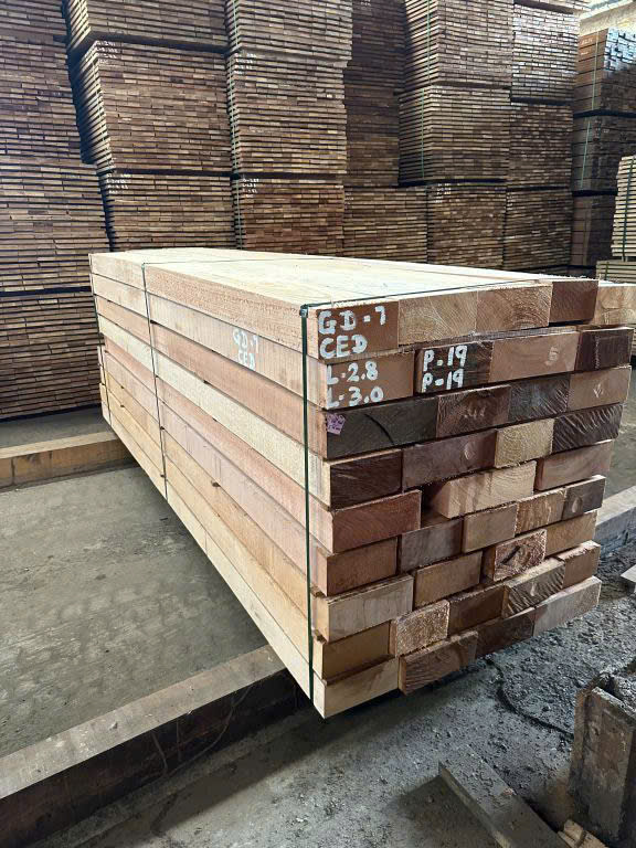 z7305144564351_9fec791871b1b2a983278836a378d2b4