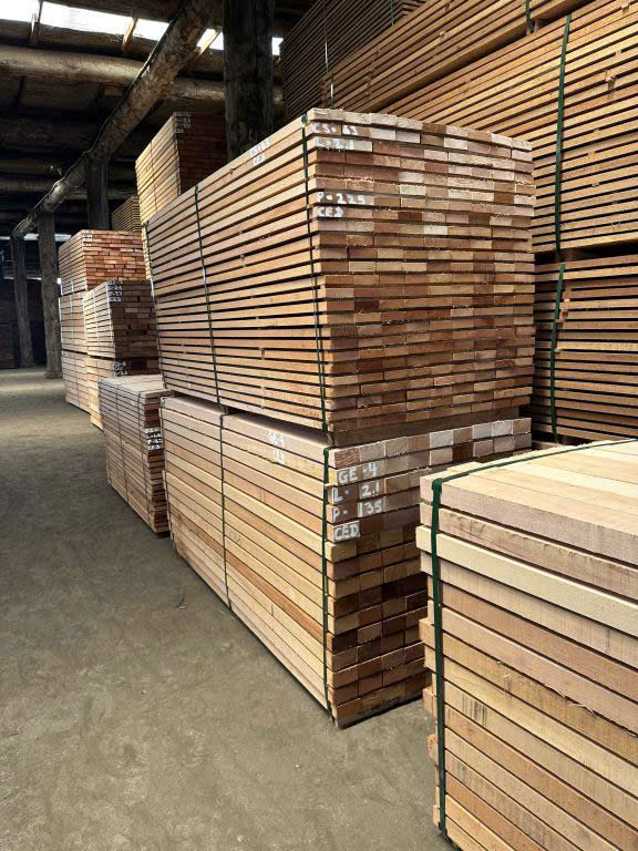 z7305144564358_5f3fb1f30c511dfb50012a858ee21003