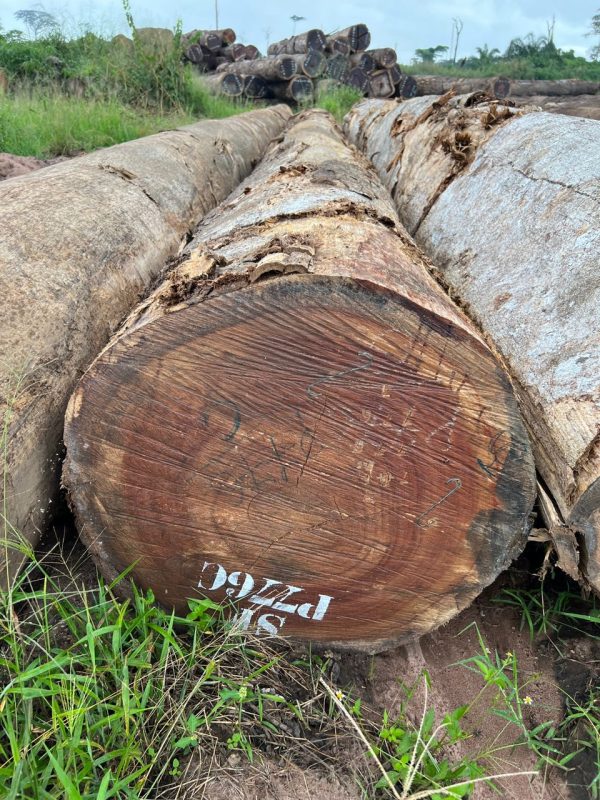 02eda3ce968f38d1619e4