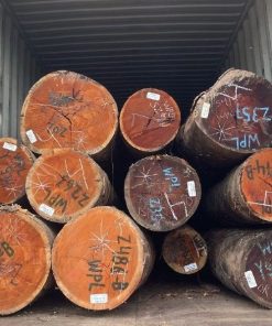 Gỗ Căm Xe WPL - Kính 56 / Hàng Mùa Mới 2025