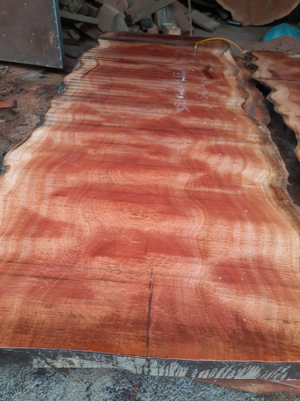 d49b179625b3deed87a2