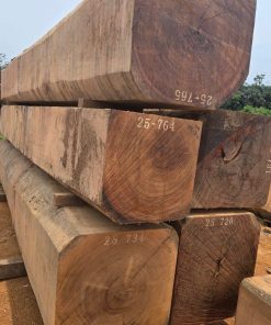 Lim Tali Hộp - Guinea Equatorial