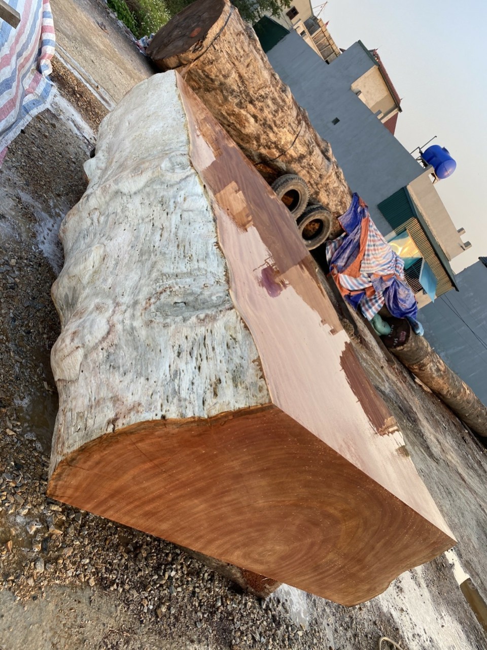 e645304e2d6bd6358f7a