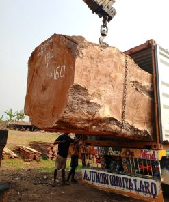 Gỗ Hương Eku Nigeria - 5 Logs