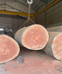 Gỗ Xoan Đào Sipo - Vanh 520+