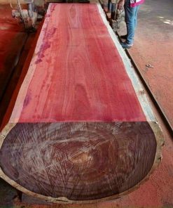 343971694_173035985691277_6906976334508481101_n-247x296