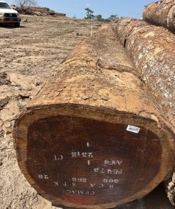 Gỗ Dâu tròn Iroko - Vanh 260+