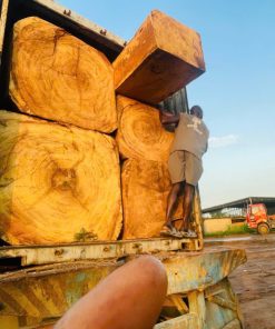 Gỗ Dâu Nigeria - Iroko