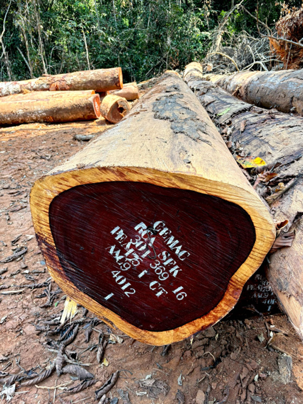 z7472744316678_656585d35c853e98341d2d00047233e0