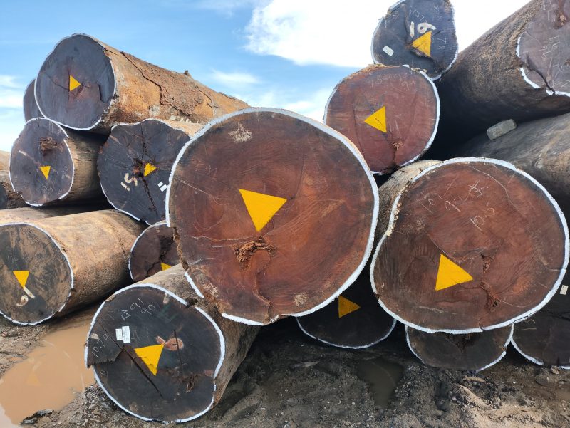 517508853_1416729809660091_272601862042047951_n