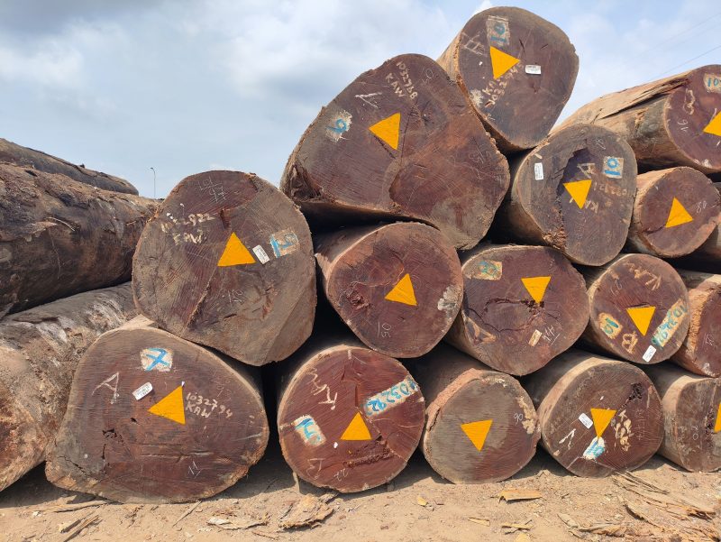 518818406_1424298962236509_4565465578422689542_n