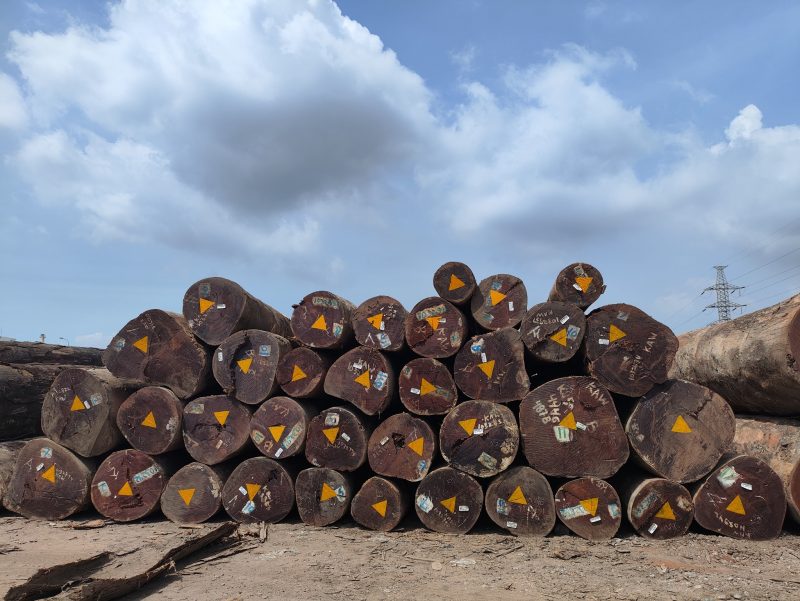 520516634_1424299065569832_1548765678407227658_n