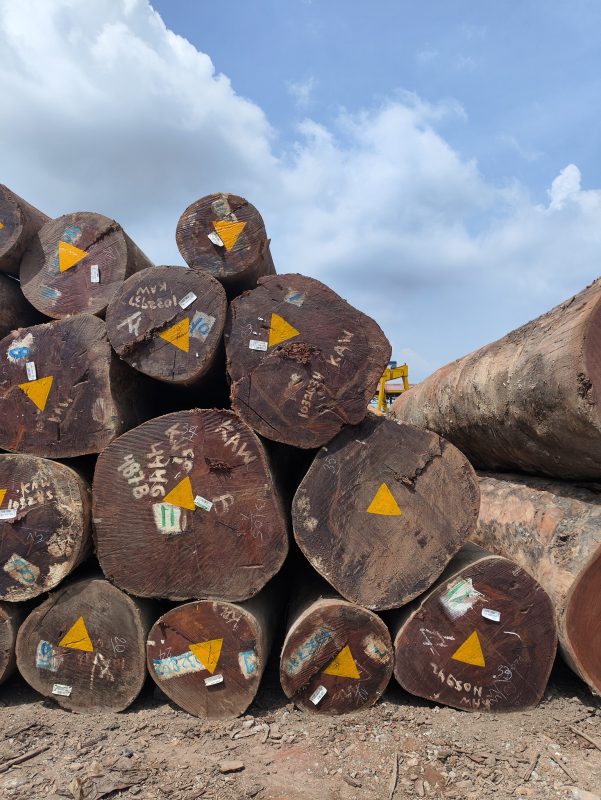 520836153_1424299018903170_2156619694542010429_n