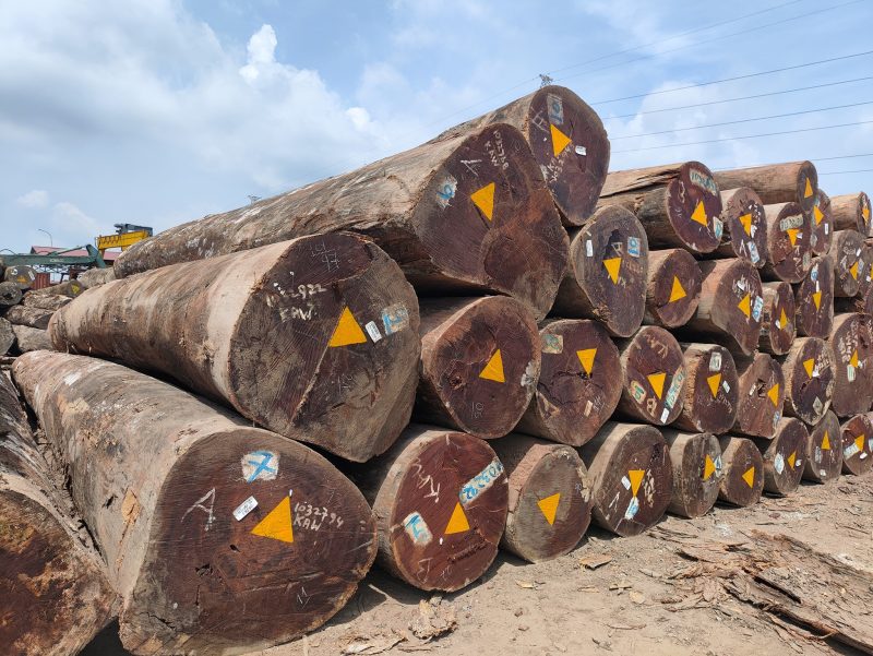 521232869_1424298888903183_974698926303316084_n