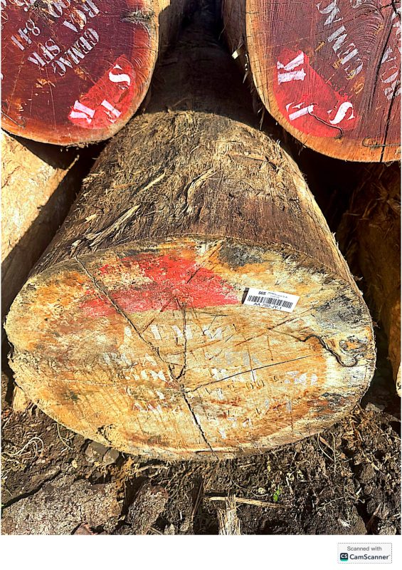 CT4112BOSSE_page-0012