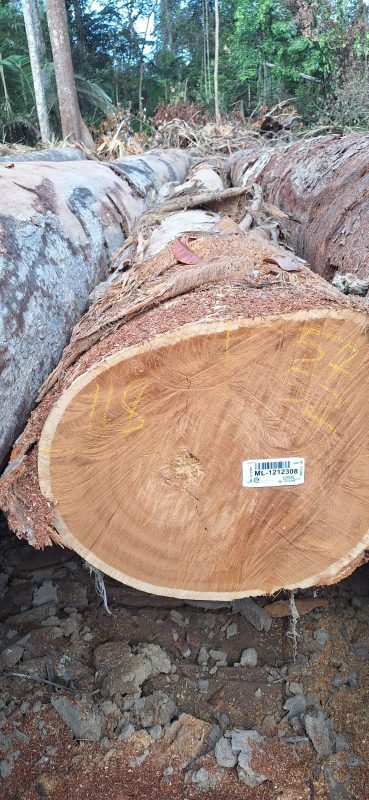 WhatsApp Image 2025-09-23 at 17.45.44_293356b1