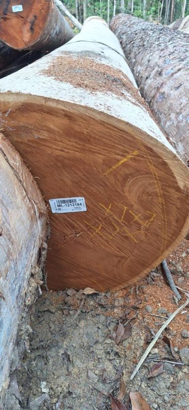 WhatsApp Image 2025-09-23 at 17.46.12_f64973be