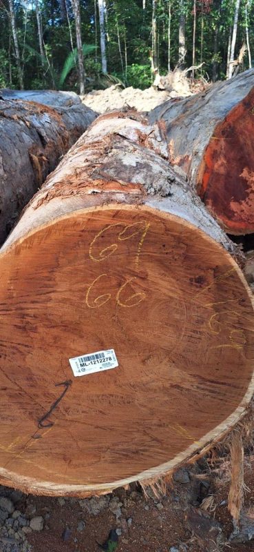 WhatsApp Image 2025-09-23 at 17.46.15_7bafd2b9