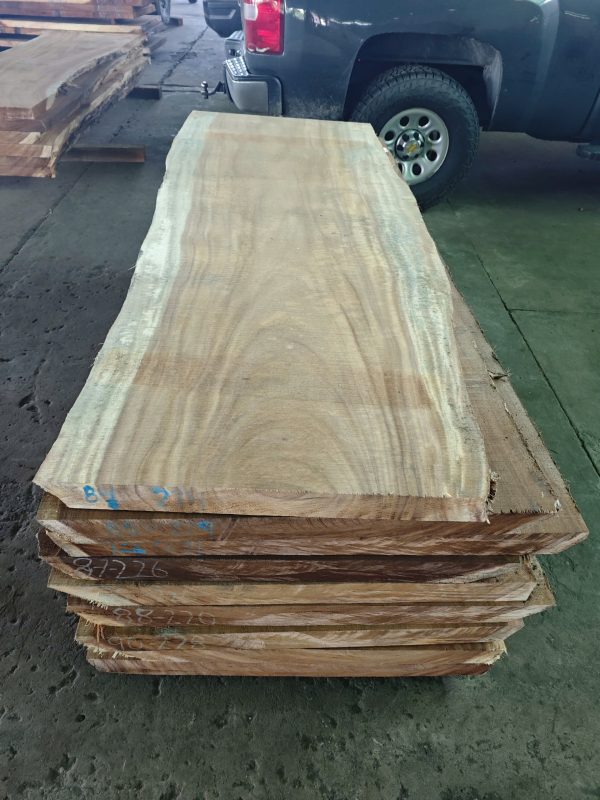 z7062316257580_74c5b11f52386b801c37c981631830f4