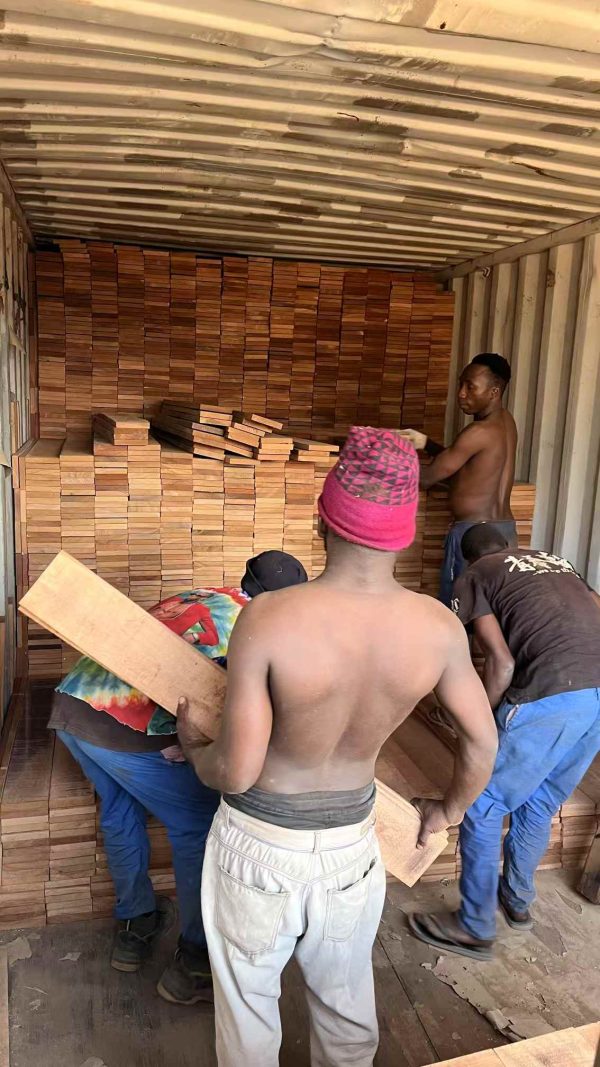 Image_20251120192847_16_7