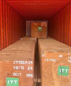 Gỗ Xoan Đào Sapele - Hộp/ Congo